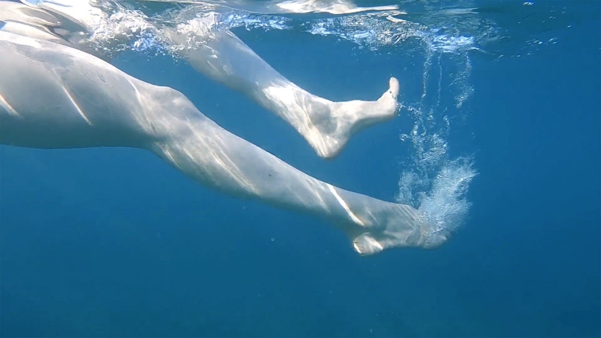 The Power of Water: Aquatic Therapy